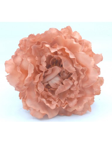 PEONIA GRANDE NUDE