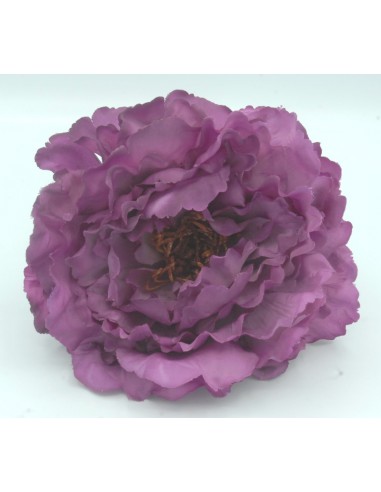 PEONIA GRANDE MORADA