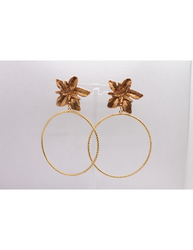 Pendientes dorados estrella