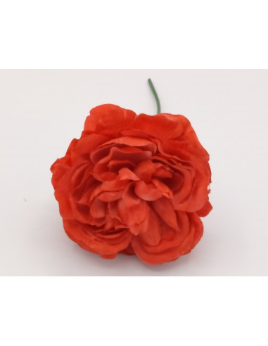 FLOR EVORA CORAL