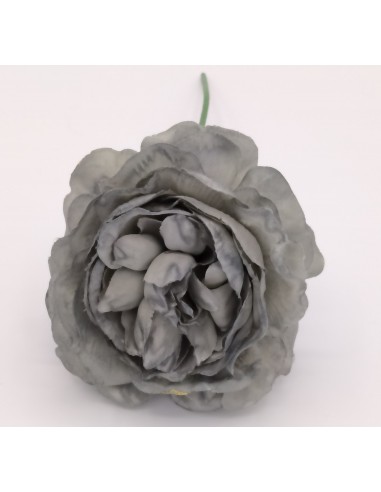 FLOR EVORA GRIS