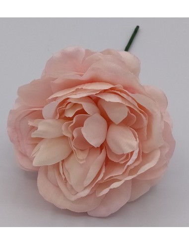 FLOR EVORA ROSA PALO
