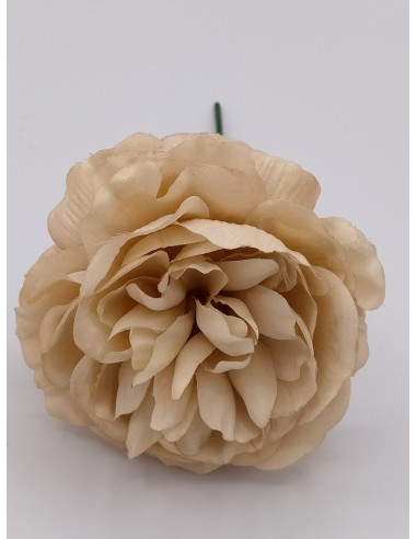 FLOR EVORA BEIGE